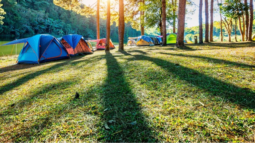 KAMP 4